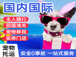 静巴空运代理国际宠物托运 【国